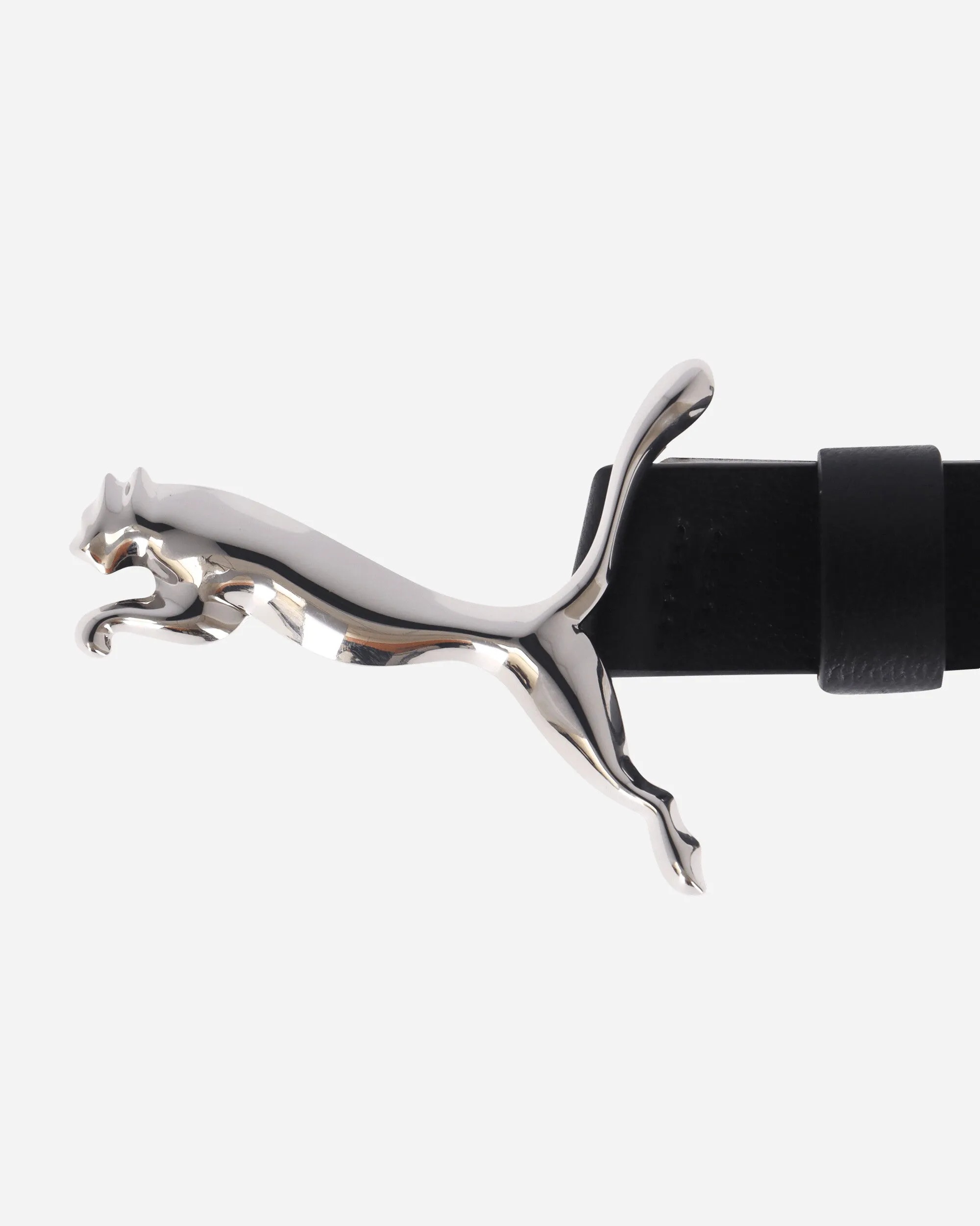 A$AP Rocky Cat Belt Black