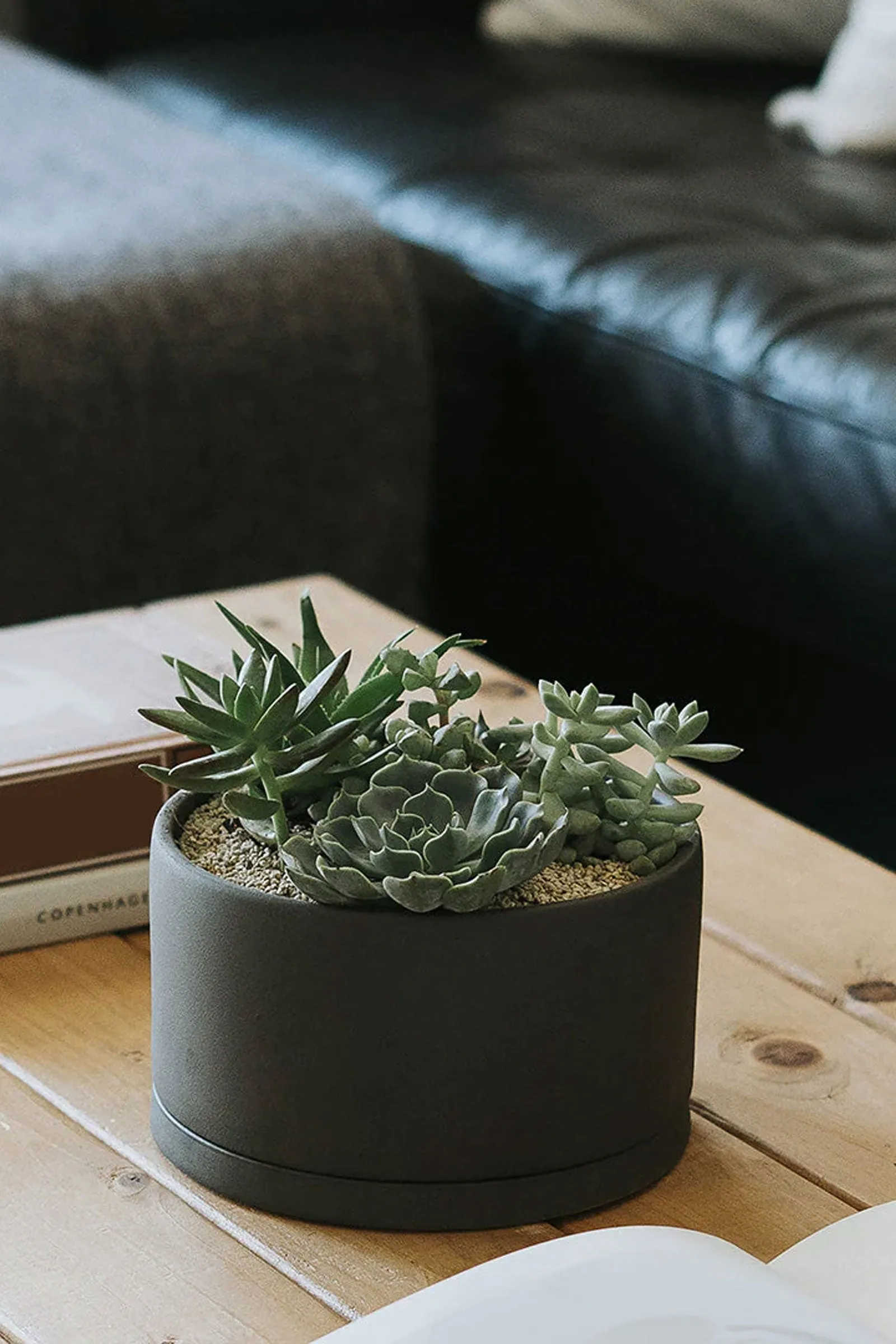 Plant Pot 191 - 170mm
