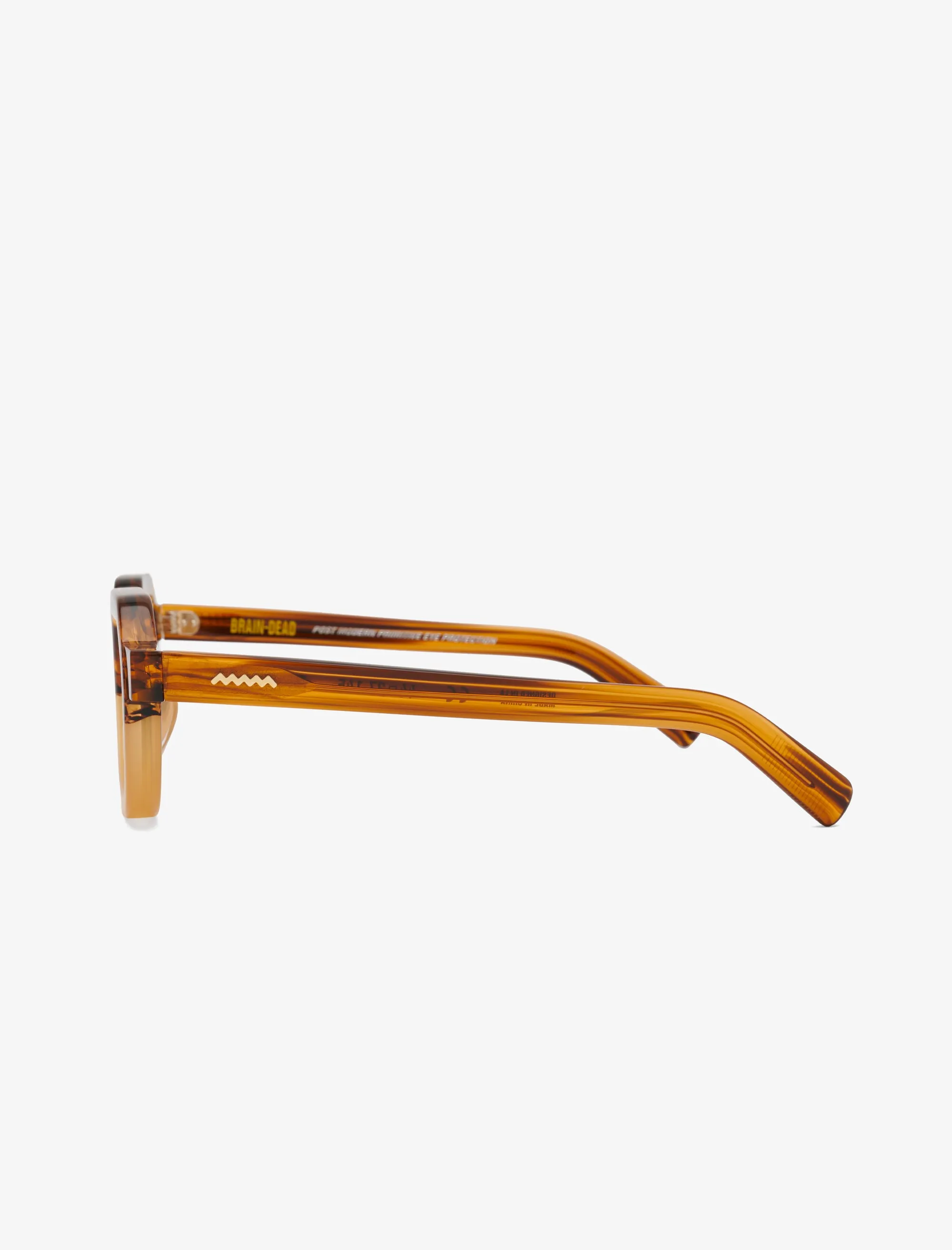 Tani Sunglasses (Orange Tortoise)